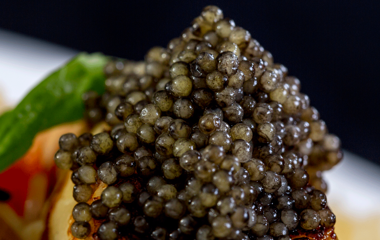 Royal Ossetra Caviar