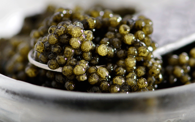 Volga Reserve Ossetra Caviar
