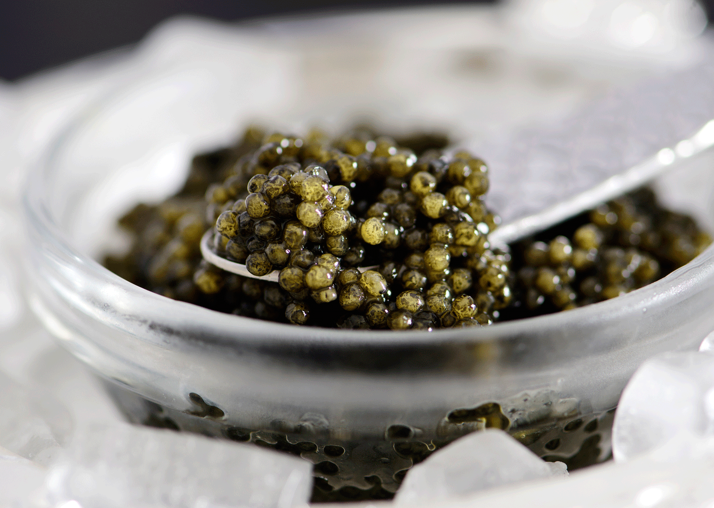 Volga Reserve Ossetra Caviar